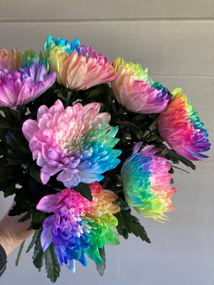 Rainbow Mumma-Pre Order for Mothers Day Only