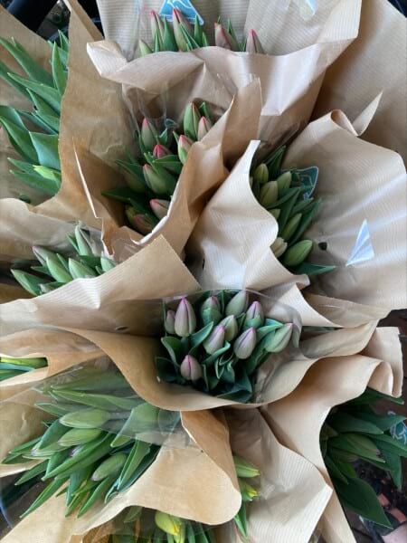 Tulips-Mother's Day Pre Order Only
